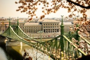 دانشگاه های مورد تایید وزارت علوم ، تحقیقات و فناوری 12 viragos 007